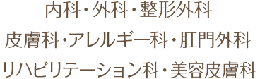 外科・内科・整形外科・皮膚科・アレルギー科・こう門外科・リハビリテーション科・美容皮膚科